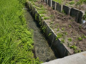 水路(外観) 水路(外観)