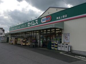 セイムス東金上宿店　290ｍ(周辺)